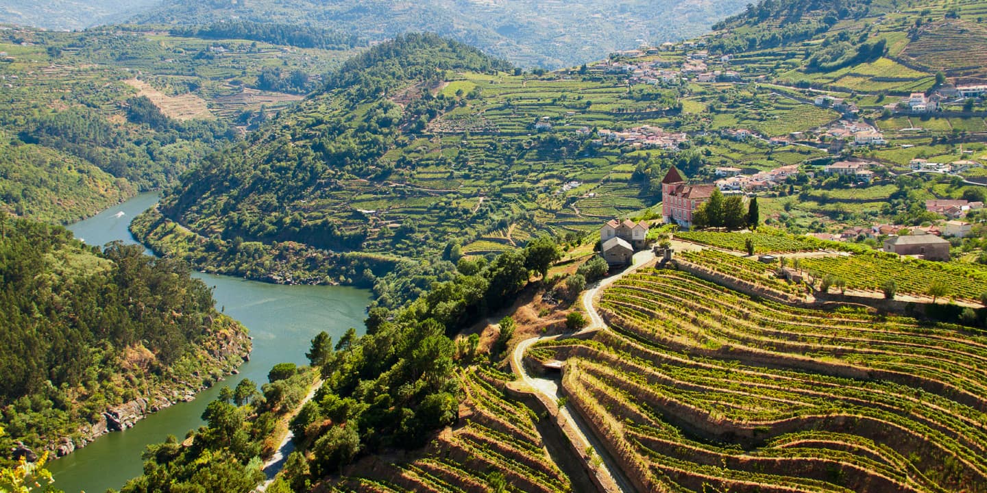 iStock.com / Luz Gómez