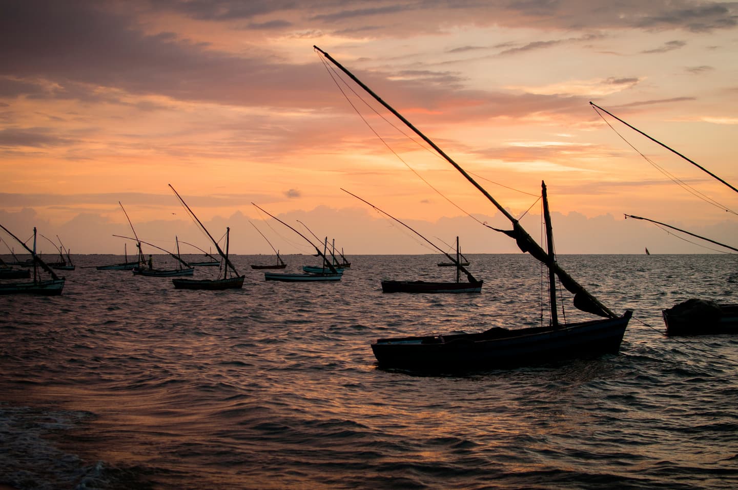 iStock.com / zecadeoliveira