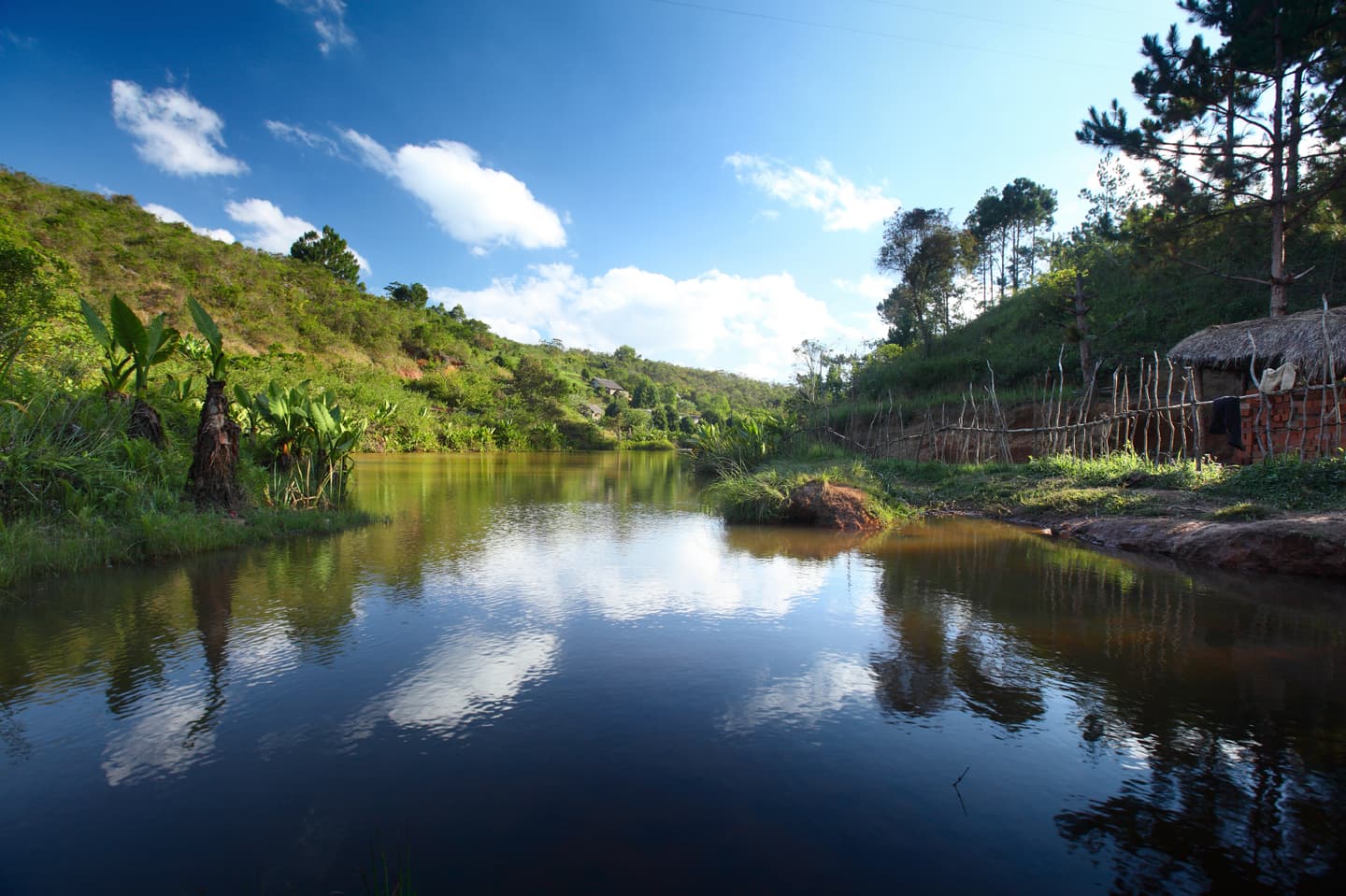 iStock.com / mihtiander