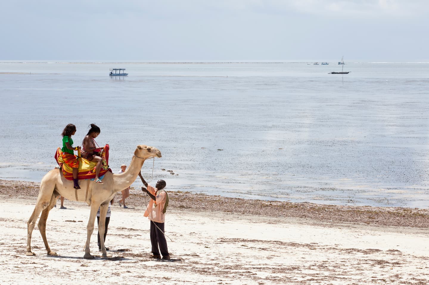 iStock.com / 1001slide