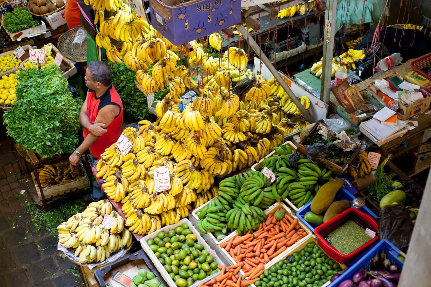 iStock.com / Robert Mandel