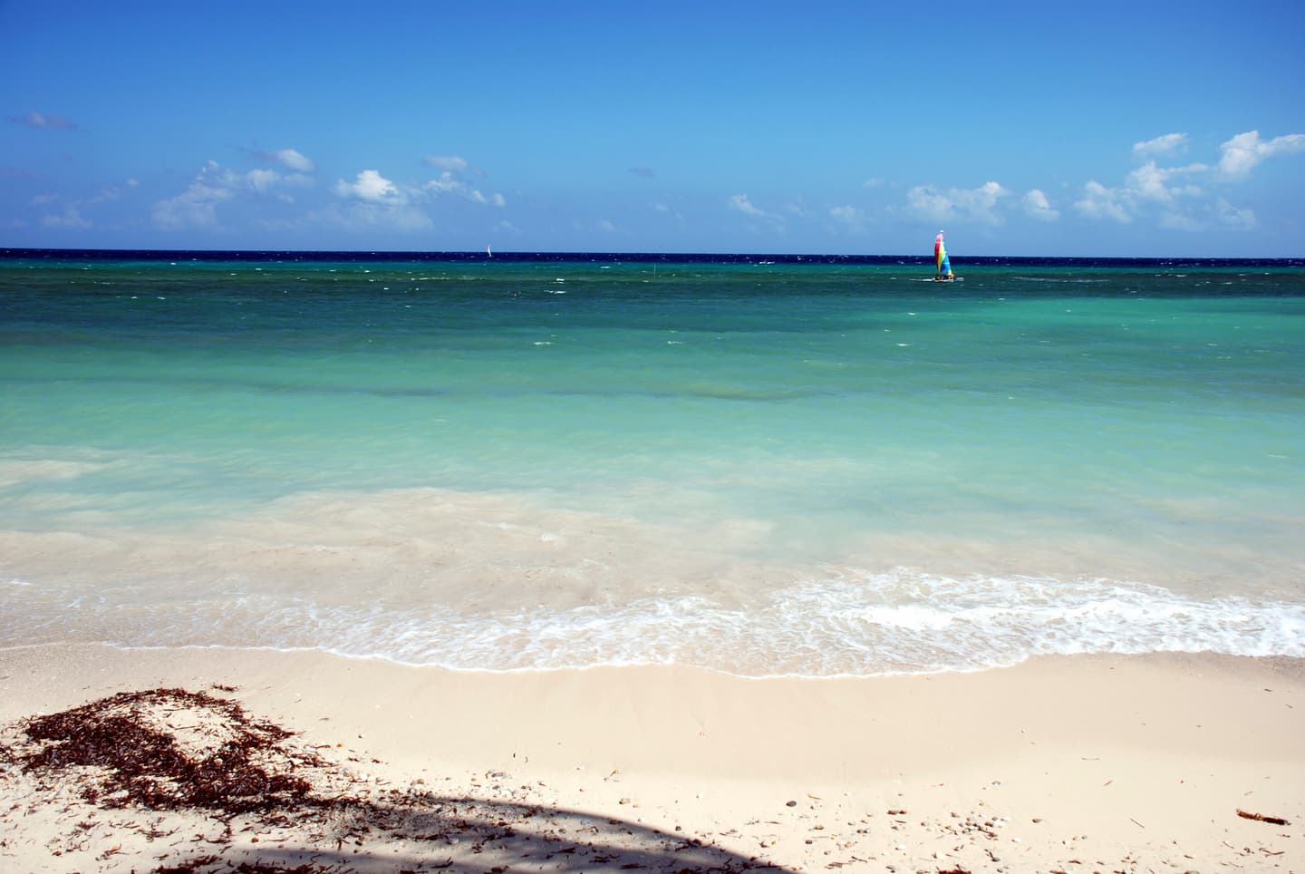 iStock.com / aassemany