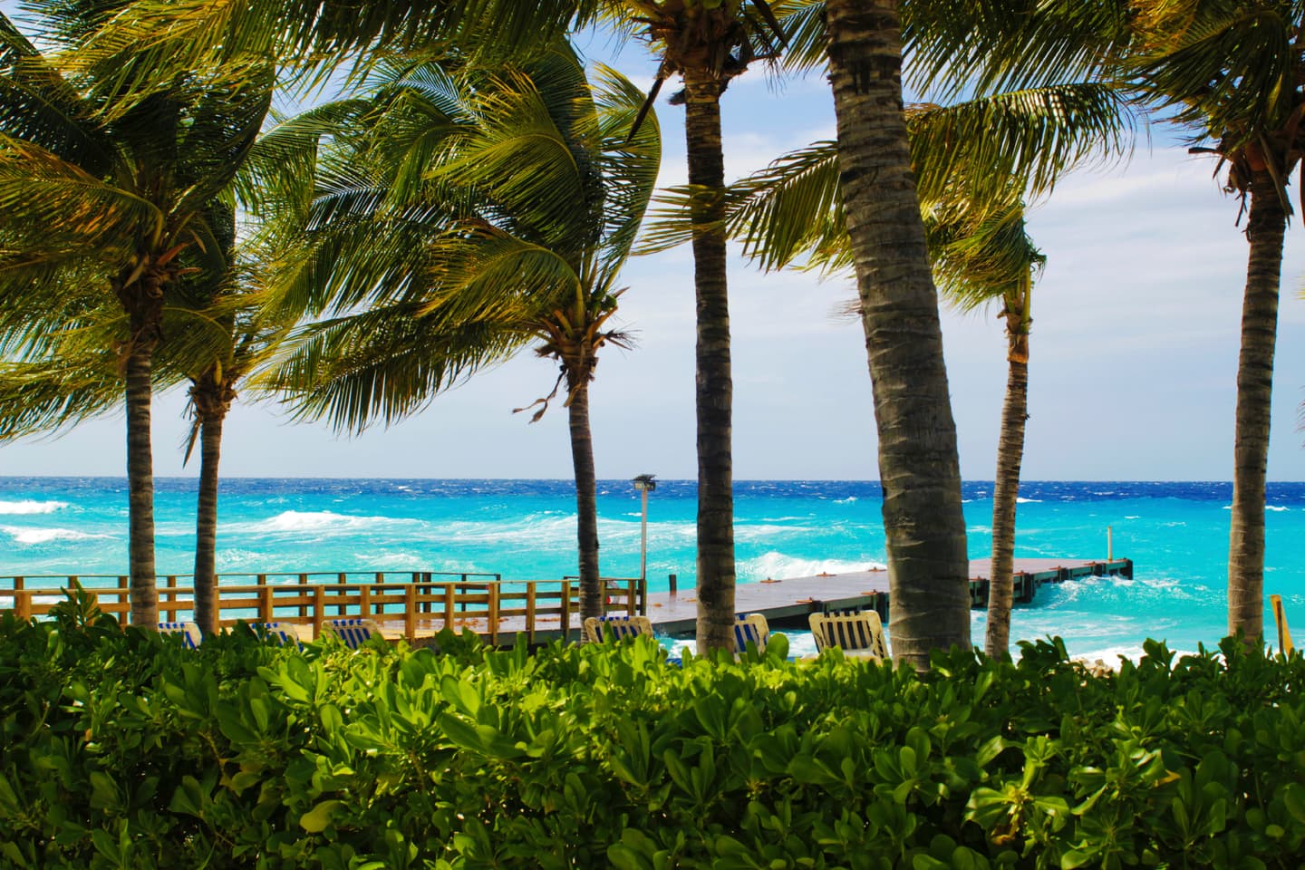 iStock.com / Tarheelson