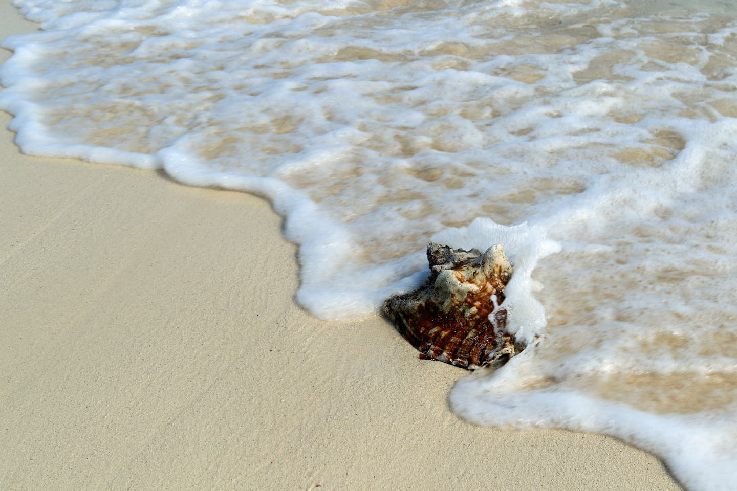 iStock.com / CaraMaria