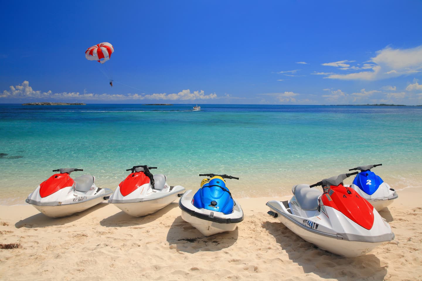 iStock.com / WorachatSodsri