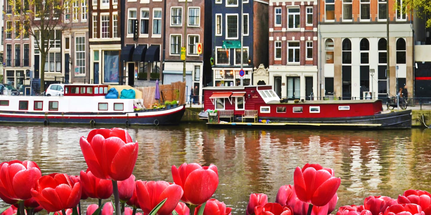 iStock / Andrij Vatsyk