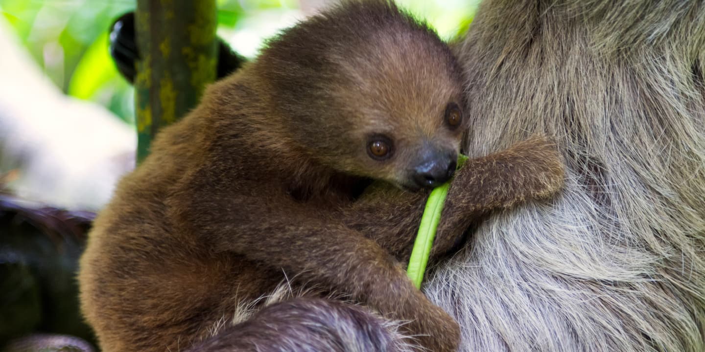 iStock / jens thillerup