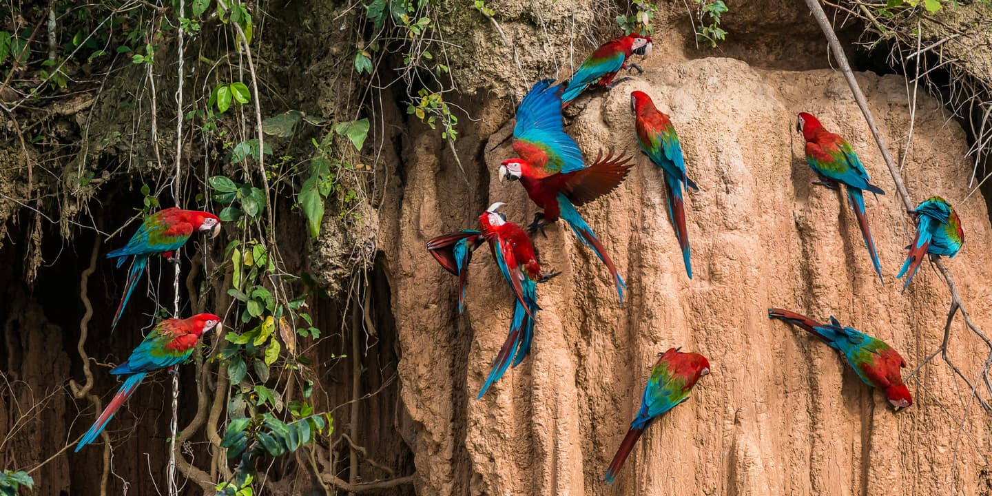 iStock / Franck Camhi