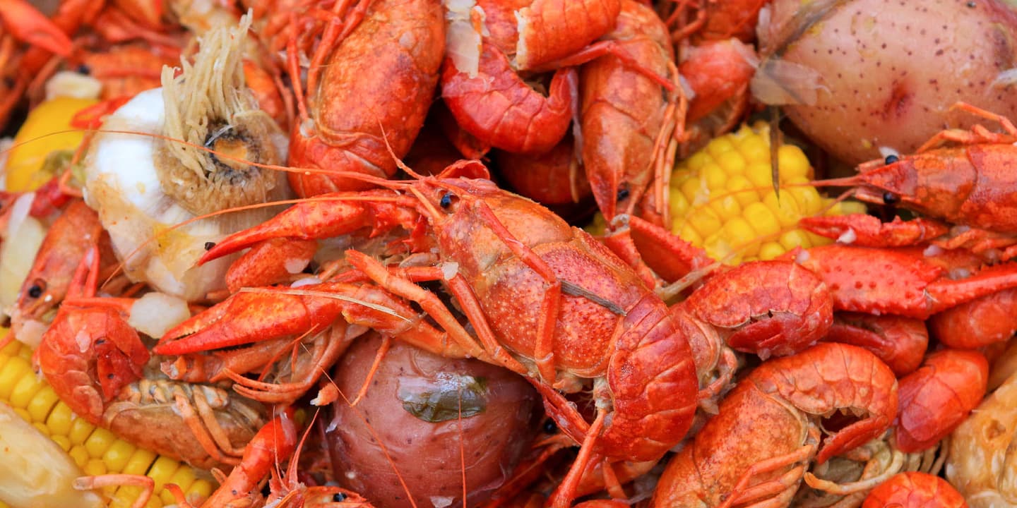 iStock / SteveDalmado