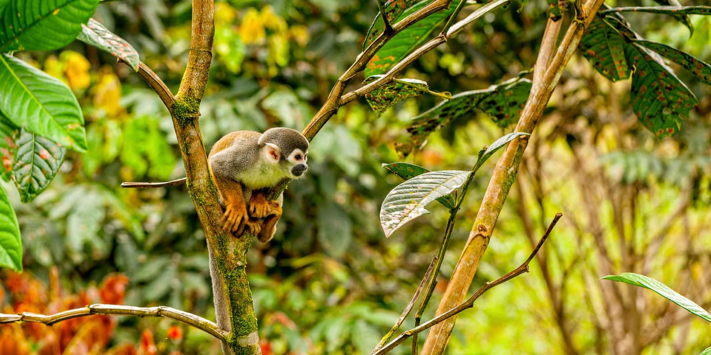 iStock / KalypsoWorldPhotography