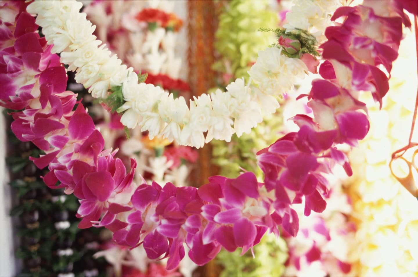 Hawaii Tourism Japan