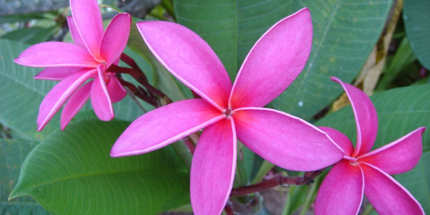 Tahiti Tourisme / Kat Kellner