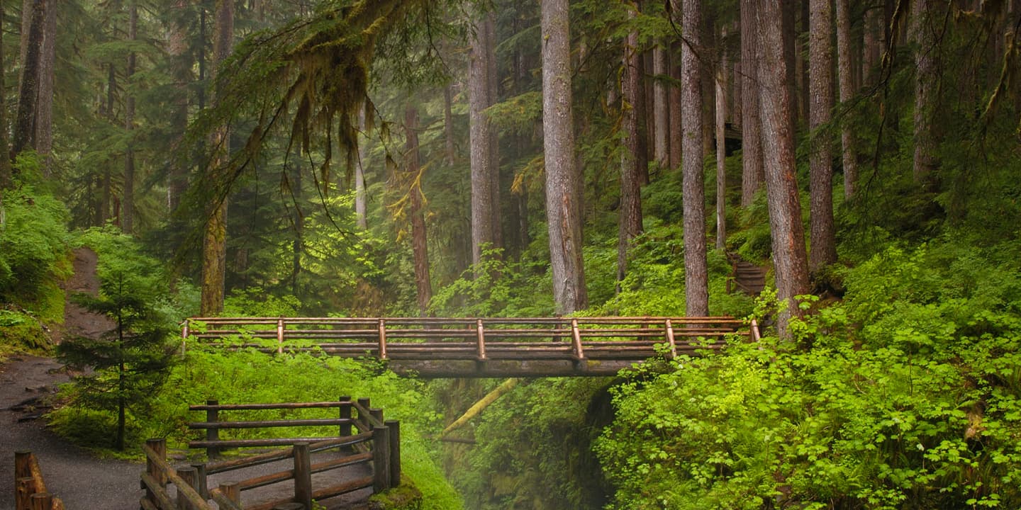 iStock / Jeffrey Layton