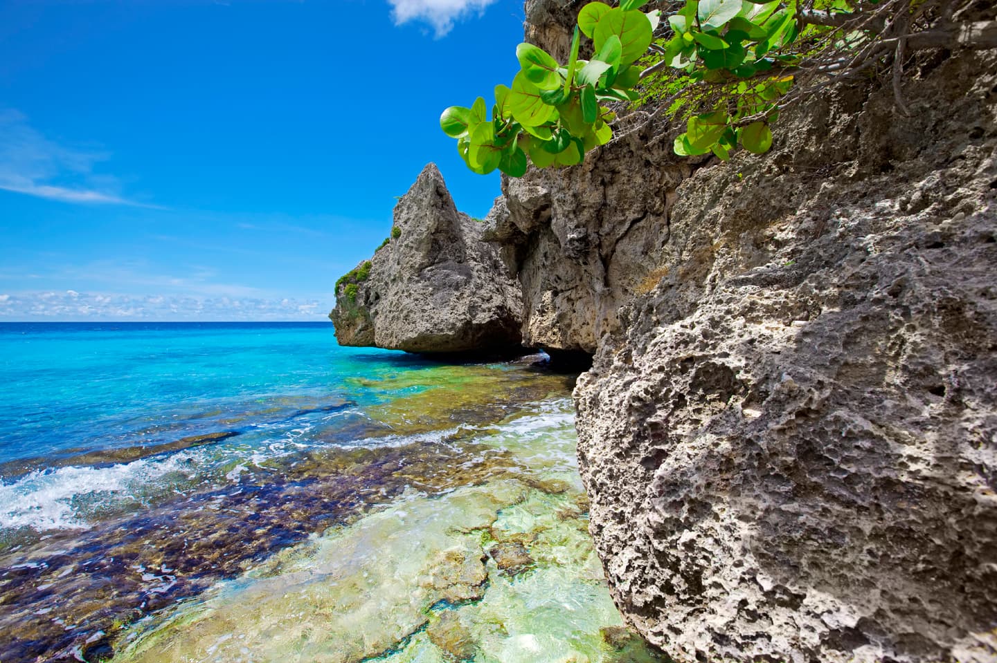 iStock.com / kjorgen