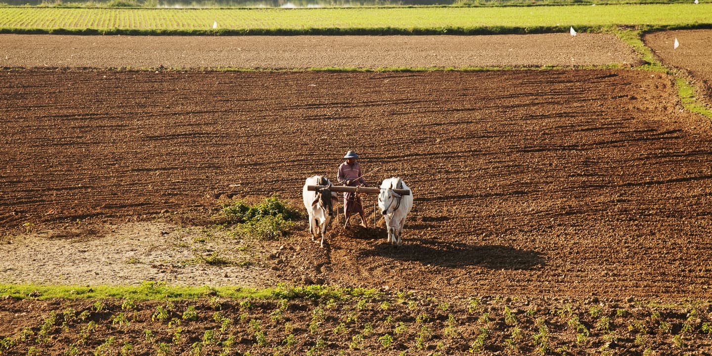 iStock / DanielBendjy