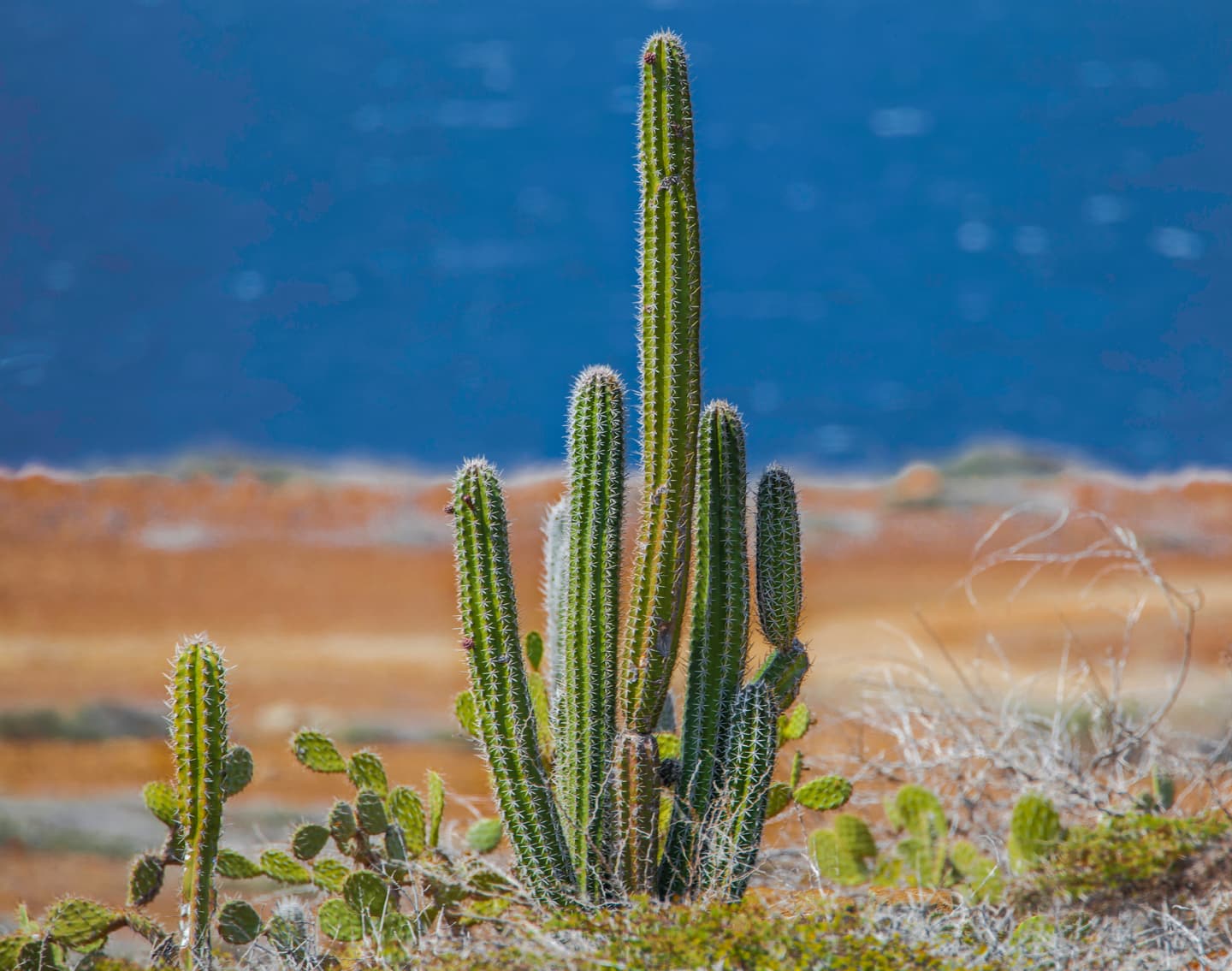 iStock.com / Nisangha