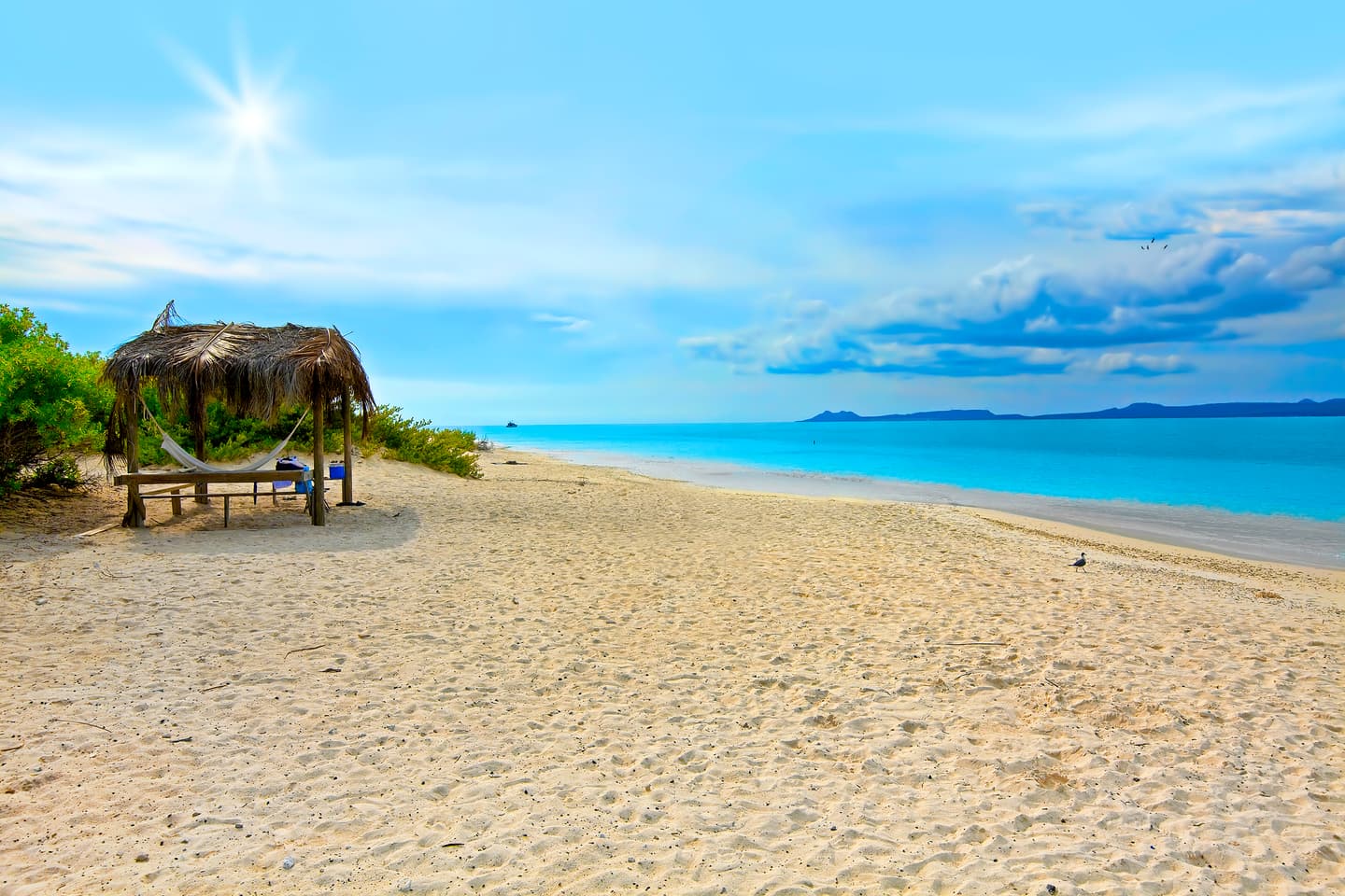 iStock.com / kjorgen