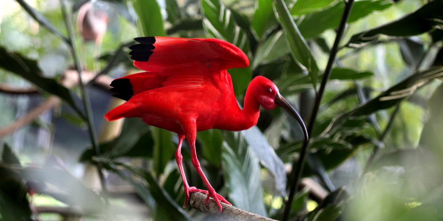 Trinidad & Tobago Tourism Development Company