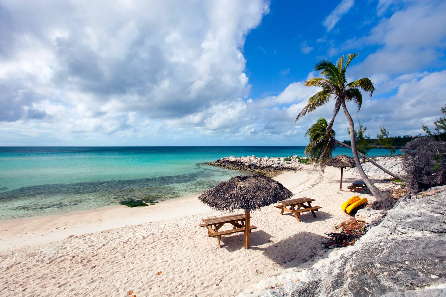 iStock.com / shalamov