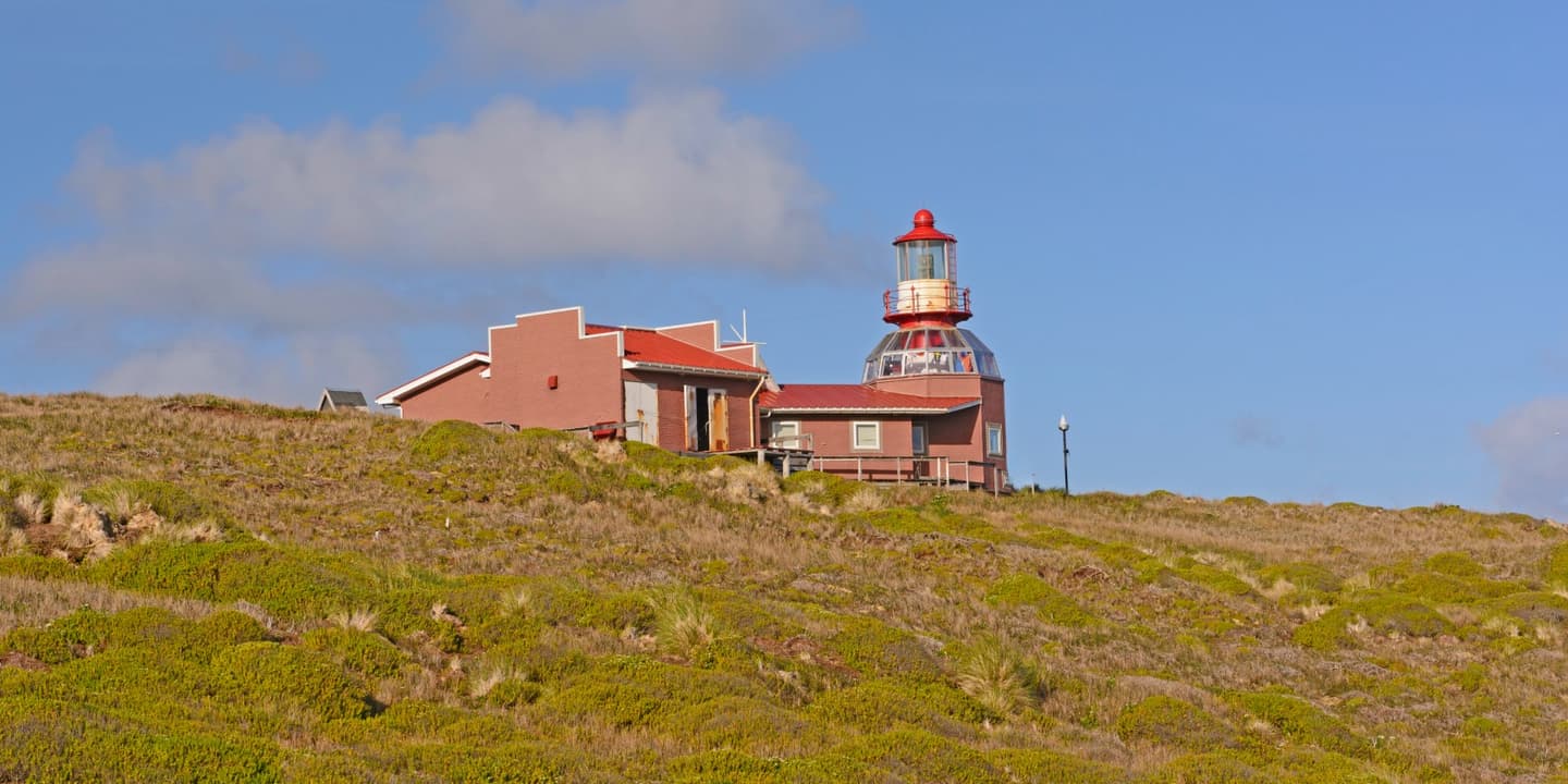 iStock / Wildnerdpix