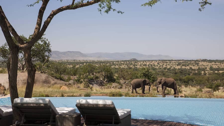 Courtesy of the Four Seasons Safari Lodge Serengeti