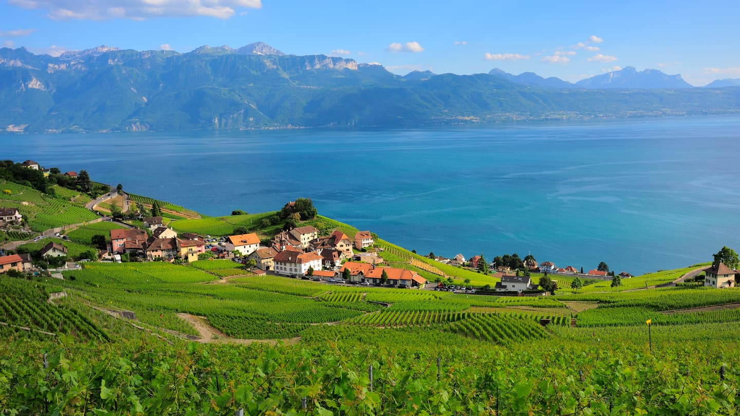 Getty Images/luxiangjian4711