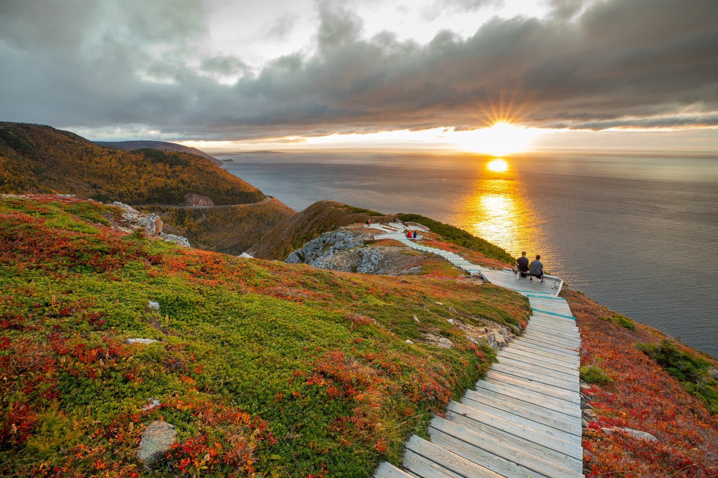 Courtesy of the author