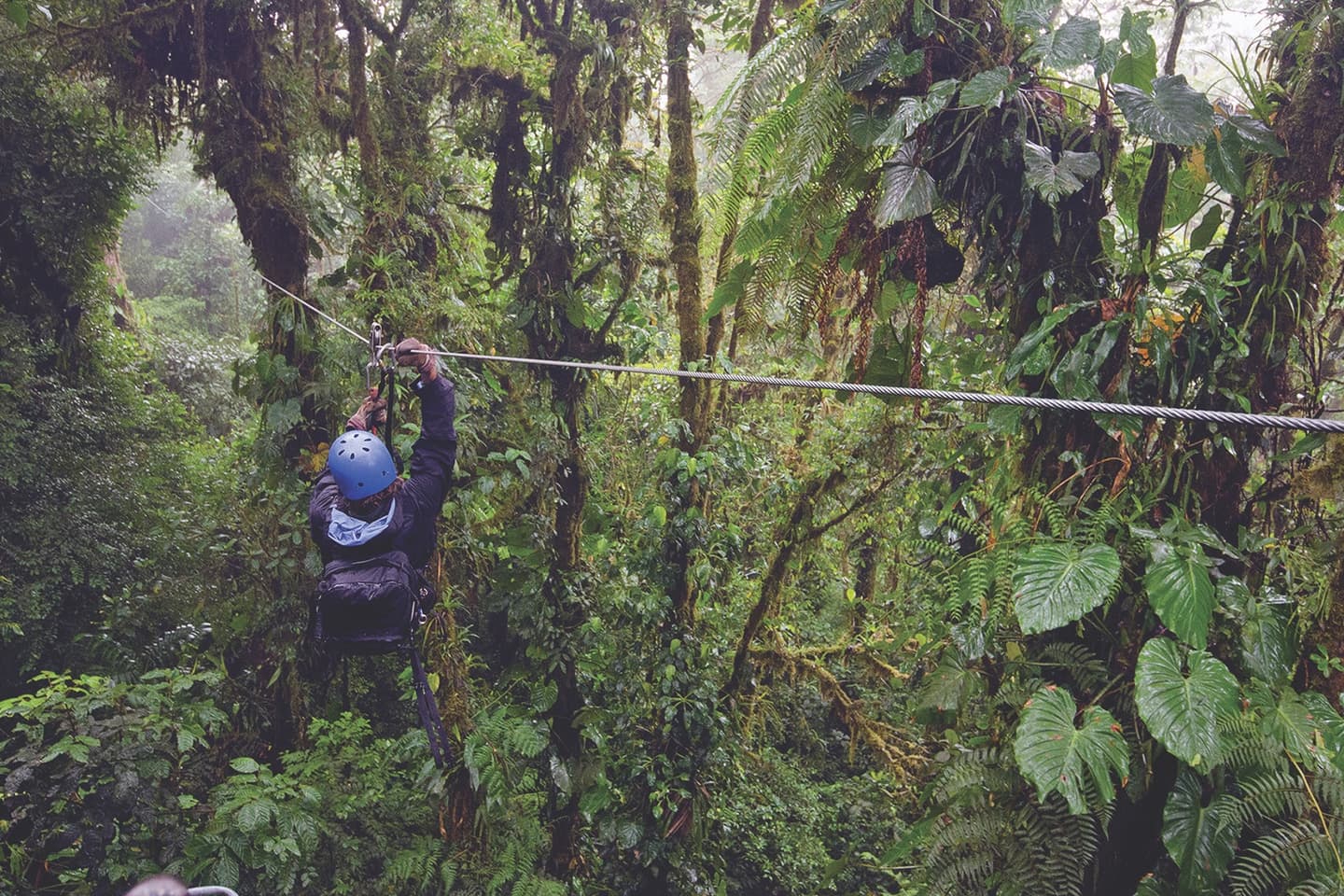 Courtesy of Visit Costa Rica