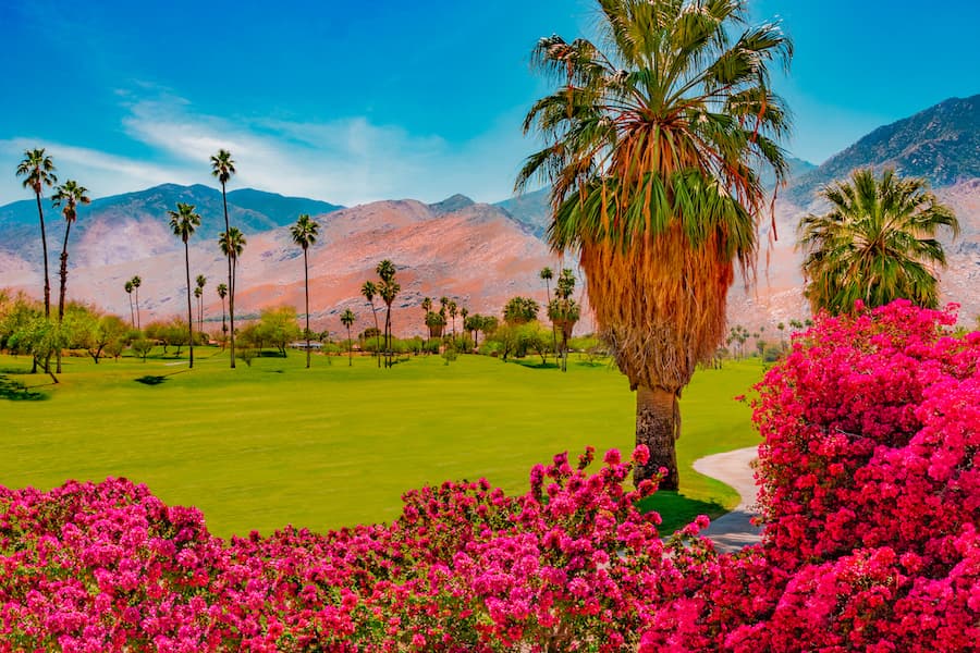 Courtesy of Patricia Elaine Thomas/iStock