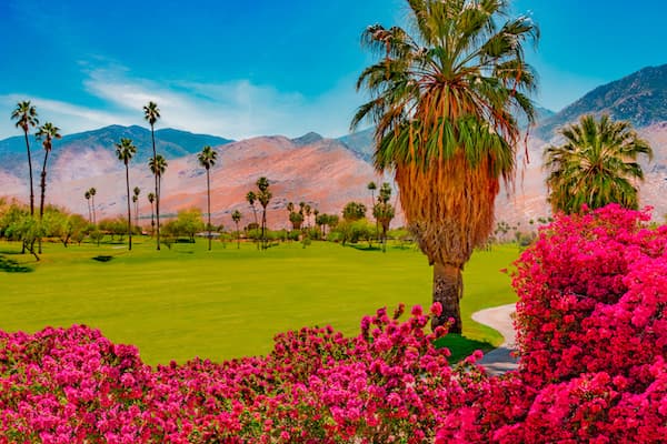 Patricia Elaine Thomas/iStock