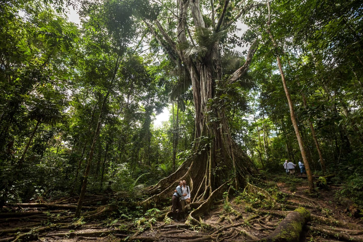 Courtesy of Delfin Amazon Cruises