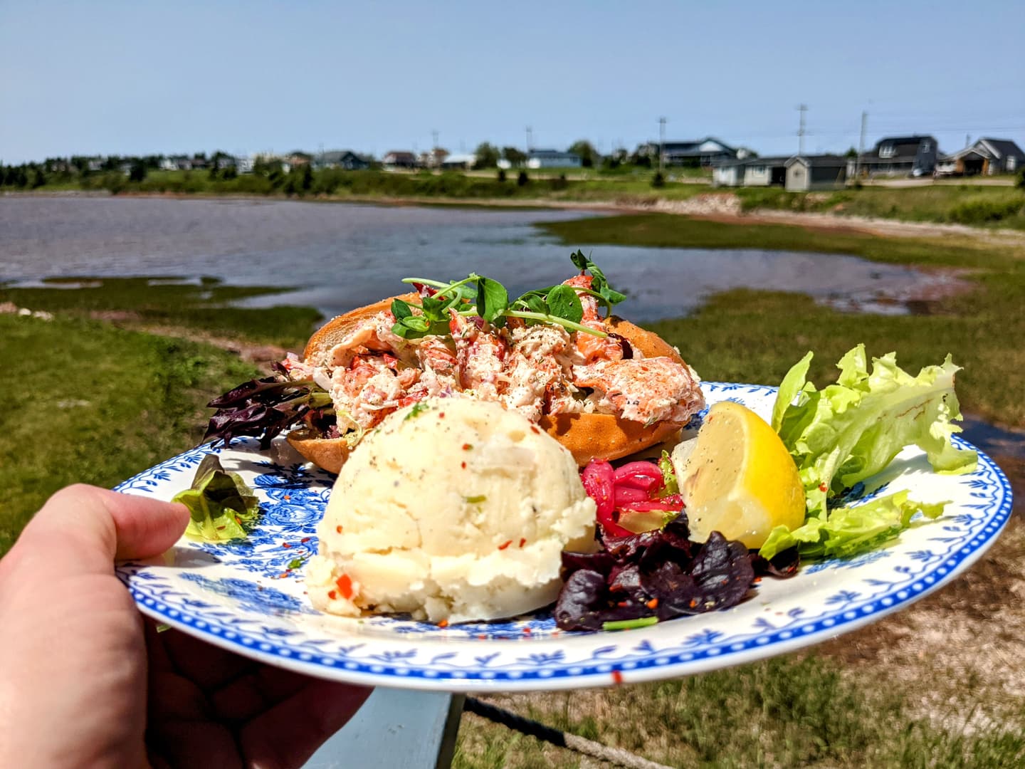 Courtesy of the author