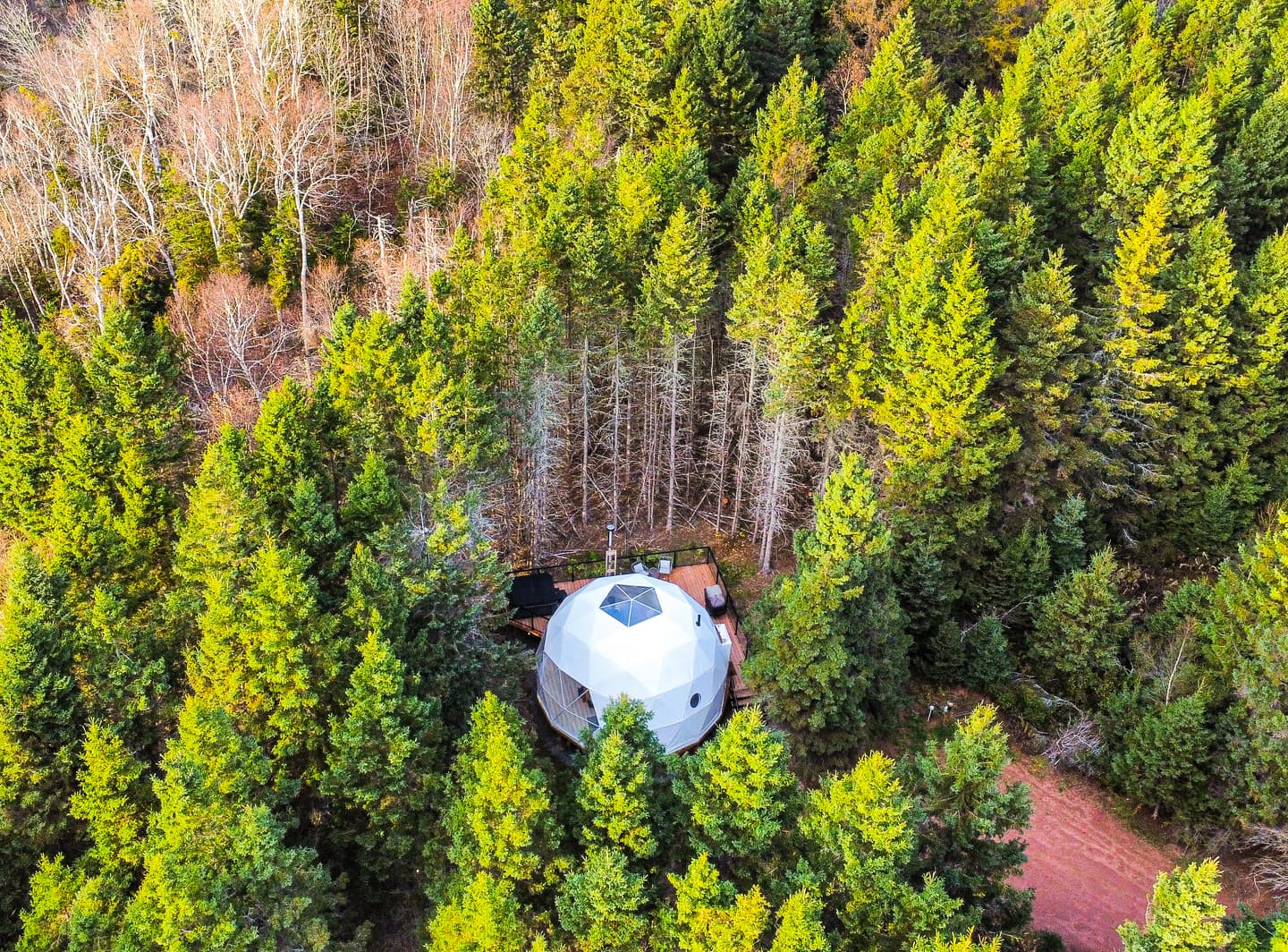 Courtesy of the author