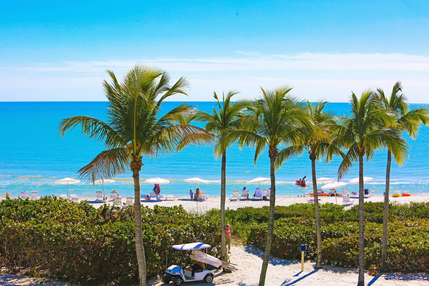 Trigger Photo/Getty Images