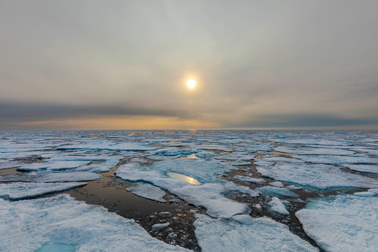 Courtesy of Aurora/Adrian Wlodarczyk