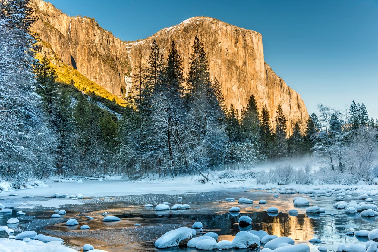 stefanopolitimarkovina/iStock
