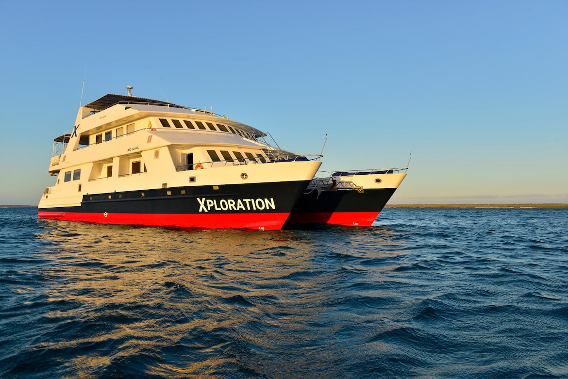 Celebrity Xploration