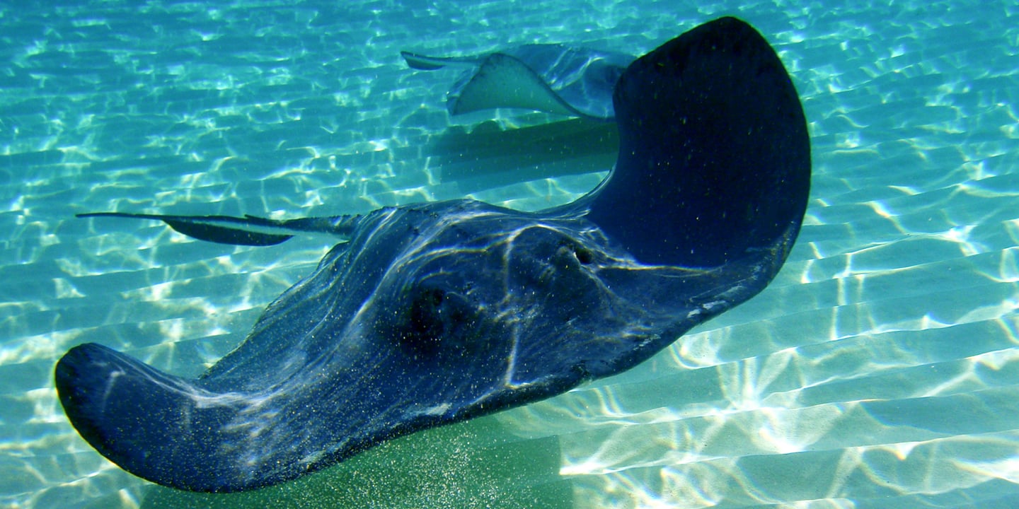 George Town, Grand Cayman