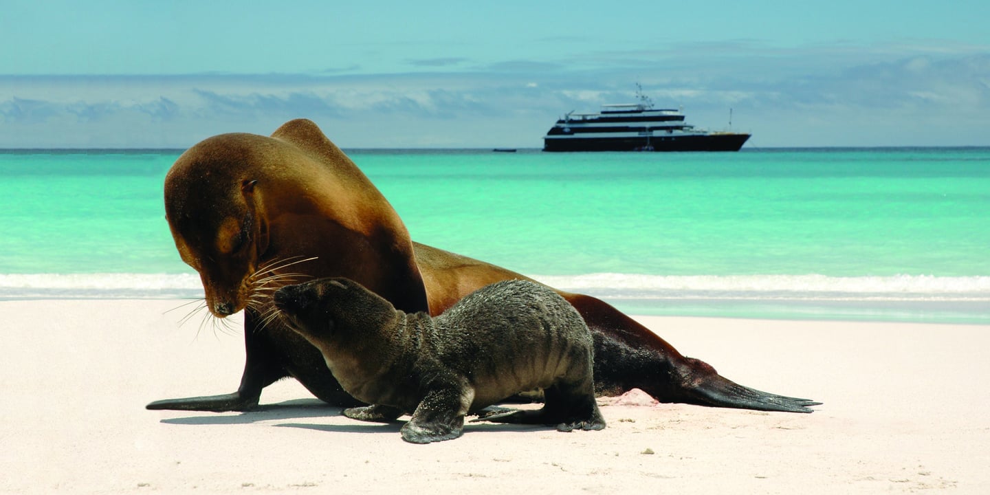 Lindblad Expeditions