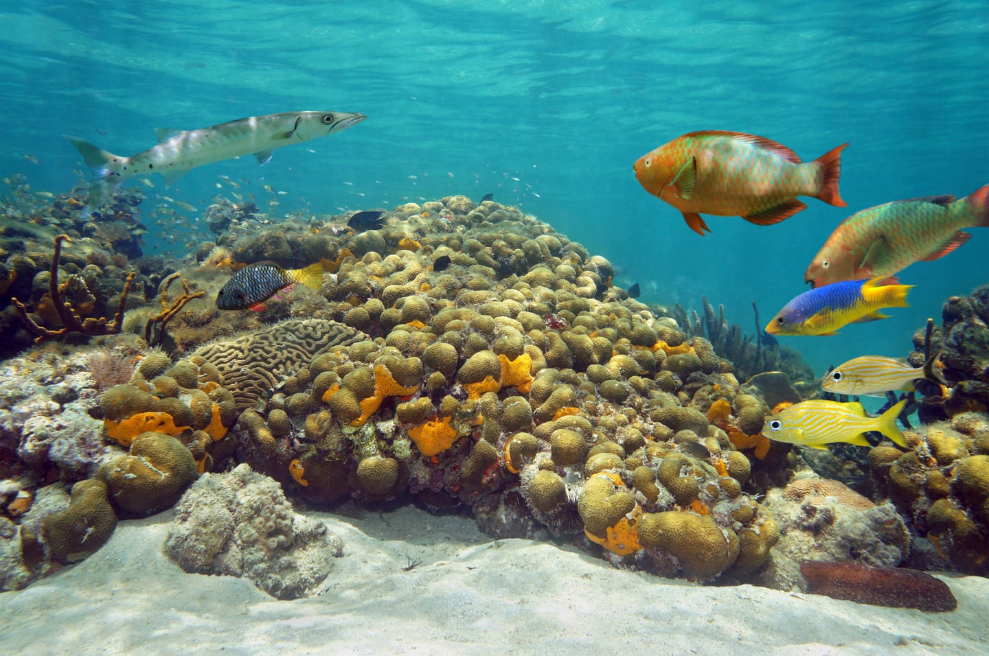 Costa Maya, Mexico