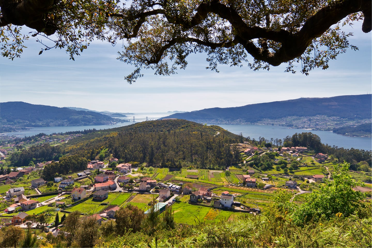 Vigo