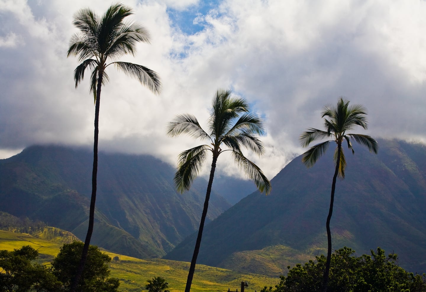 Lahaina, Maui