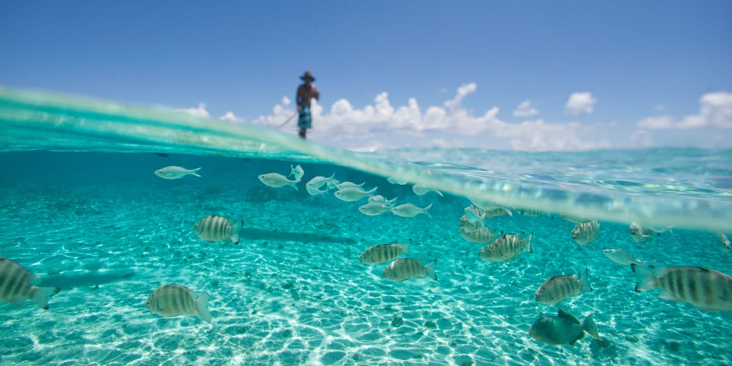 Tikehau, French Polynesia