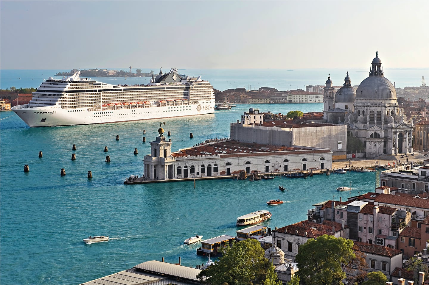MSC Cruises