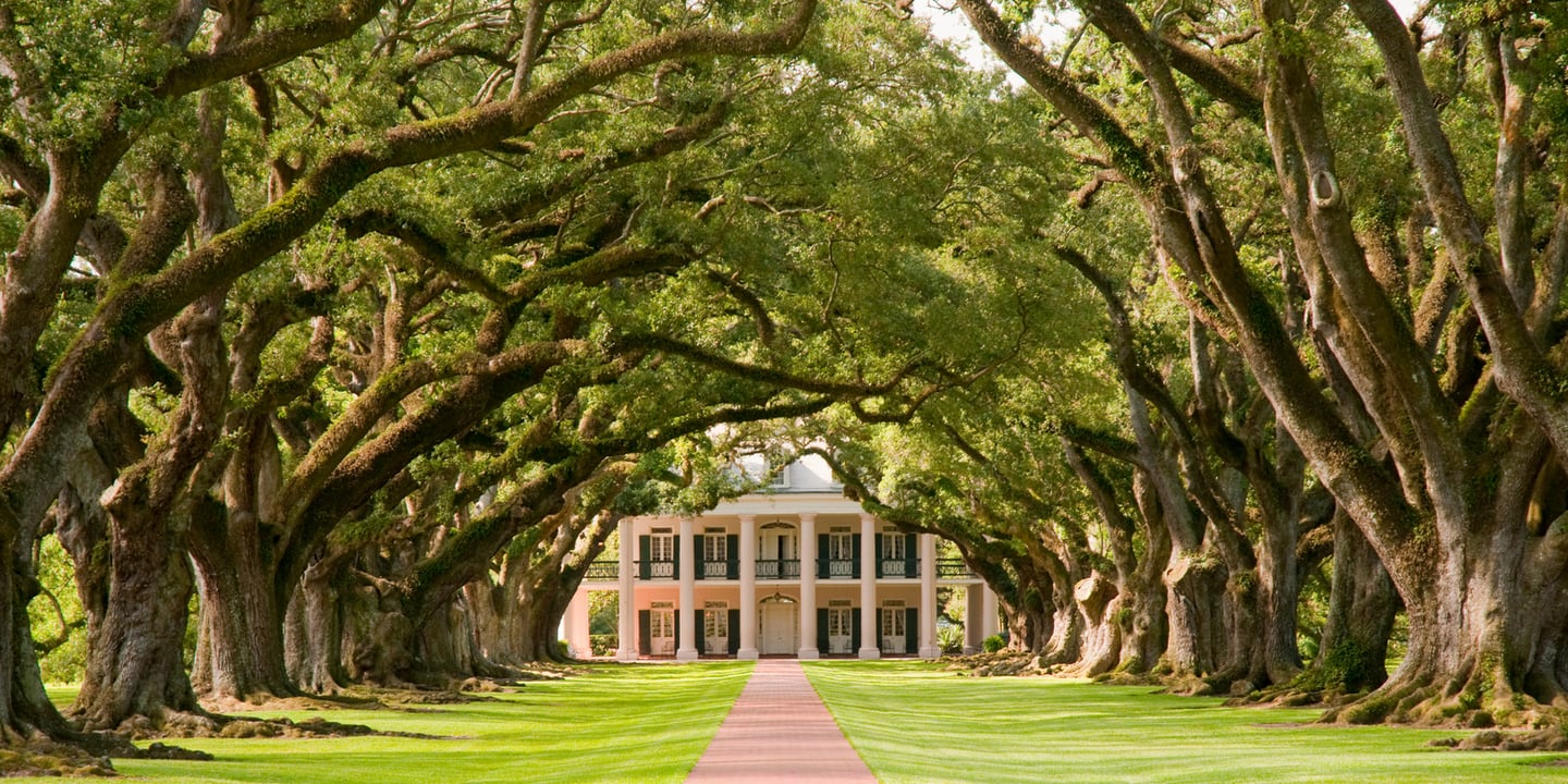 Oak Alley Plantation