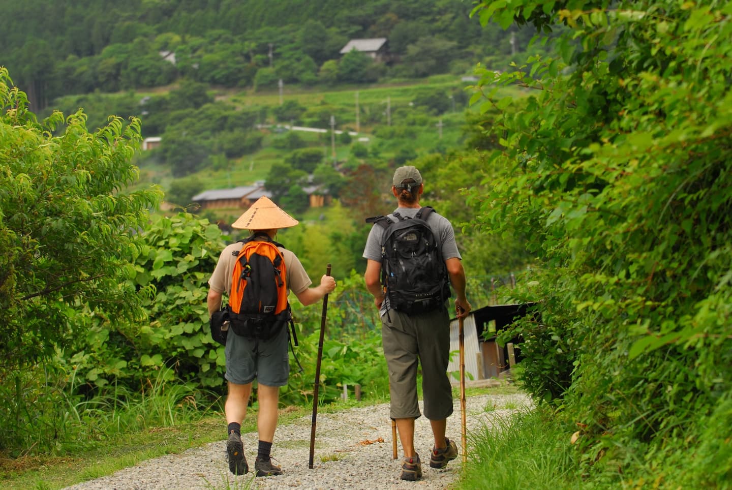 Kumano Kodo walkers