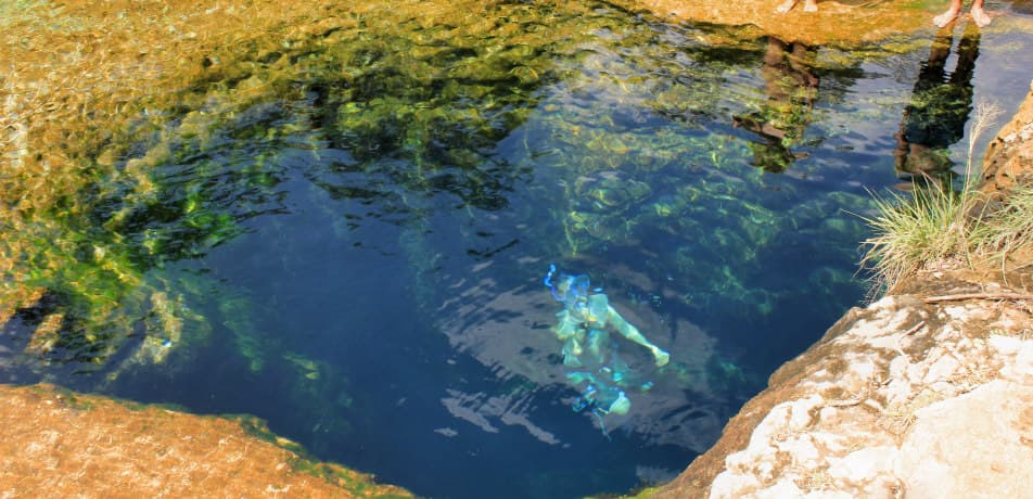 Wikipedia/Larry D. Moore CC BY-SA 4.0