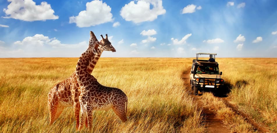 ShermansTravel