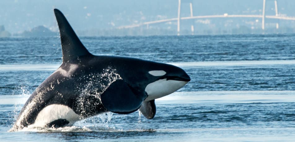 jonmccormackphoto/iStock