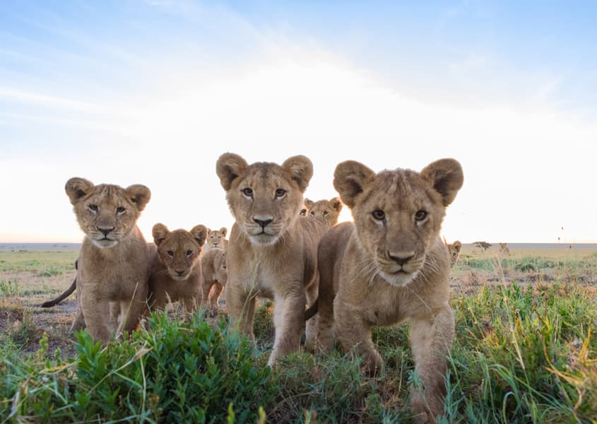 iStock / Jeniffer Collee